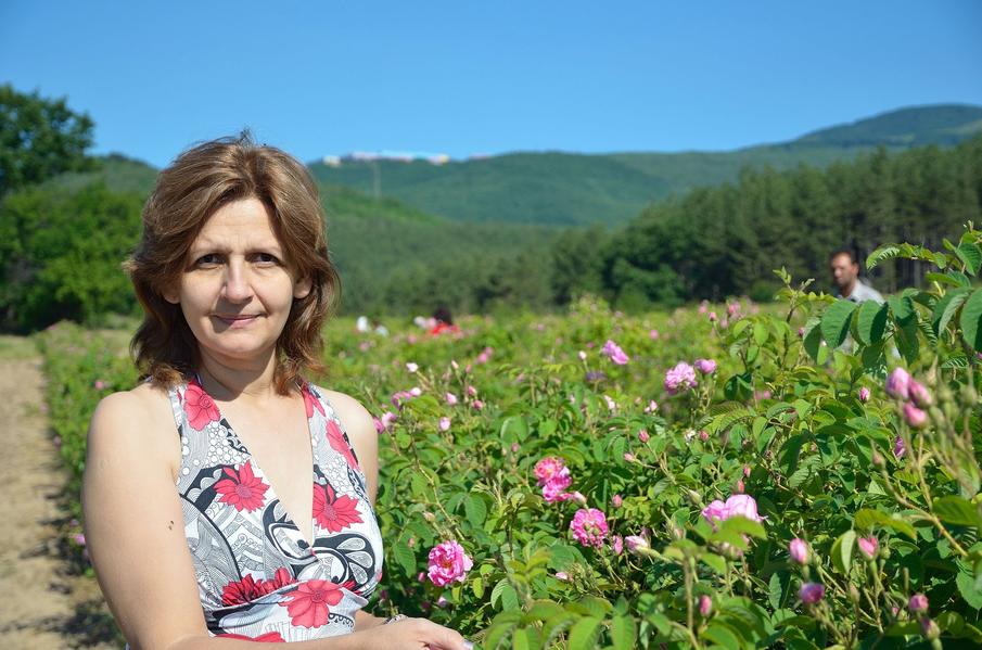 Veselina Ralcheva Rose oil producer Bulgaria