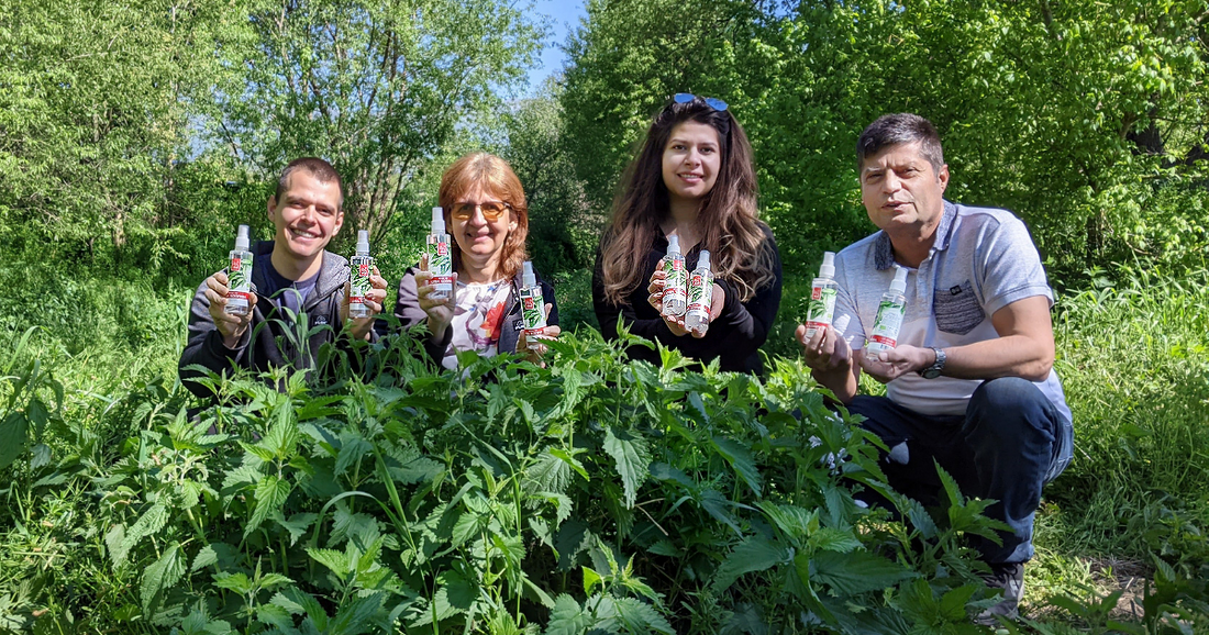 Wild-Brennnesselwasser - Die natürliche Lösung für Haarausfall und fettiges Haar