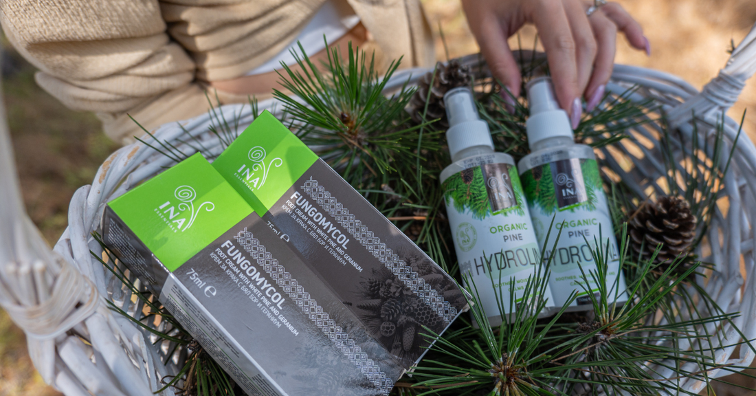 Creme für rissige Fersen und Bio-Weißkiefernwasser in einem Korb im Kiefernwald
